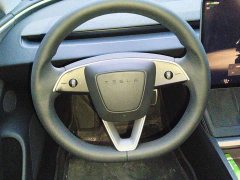Tesla Model 3 Long Range All-Wheel Drive - ფოტო 6
