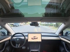 Tesla Model 3 Performance All-Wheel Drive - ფოტო 12