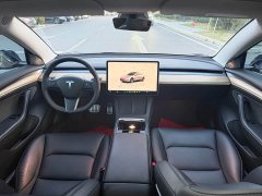 Tesla Model 3 Performance All-Wheel Drive - ფოტო 13
