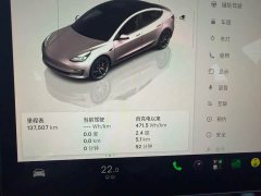 Tesla Model 3 Performance All-Wheel Drive - ფოტო 14