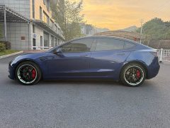 Tesla Model 3 Performance All-Wheel Drive - ფოტო 15