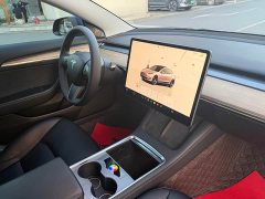 Tesla Model 3 Performance All-Wheel Drive - ფოტო 6