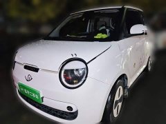 Changan Lumin 2026 Treasure Edition 205km Cool Love White CATL - ფოტო 1