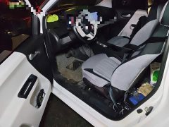 Changan Lumin 2026 Treasure Edition 205km Cool Love White CATL - ფოტო 12