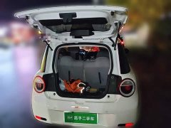 Changan Lumin 2026 Treasure Edition 205km Cool Love White CATL - ფოტო 15