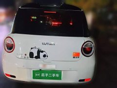 Changan Lumin 2026 Treasure Edition 205km Cool Love White CATL - ფოტო 3