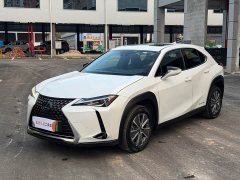 Lexus UX New Energy 2020 300e Pure Joy Edition - ფოტო 1