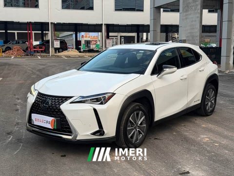 2022 Lexus UX New Energy 2020 300e Pure Joy Edition - ავტომობილი ჩინეთიდან