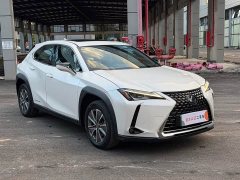 Lexus UX New Energy 2020 300e Pure Joy Edition - ფოტო 3