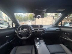 Lexus UX New Energy 2020 300e Pure Joy Edition - ფოტო 6