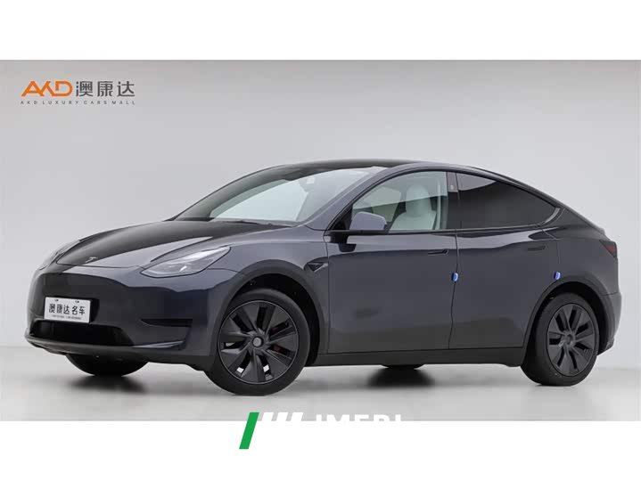 Tesla Model Y Rear-Wheel Drive - ავტომობილი ჩინეთიდან