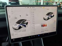 Tesla Model Y Rear-Wheel Drive Launch Edition - ფოტო 10