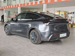Tesla Model Y Rear-Wheel Drive Launch Edition - ფოტო 5