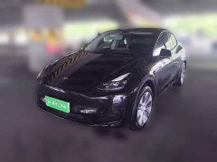 Tesla Model Y 2022 Facelift Rear-Wheel Drive - ფოტო 1