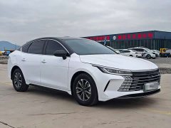 BYD Destroyer 05 Glory Edition DM-i 55KM Luxury - ფოტო 3