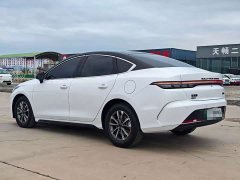 BYD Destroyer 05 Glory Edition DM-i 55KM Luxury - ფოტო 4