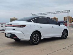 BYD Destroyer 05 Glory Edition DM-i 55KM Luxury - ფოტო 6