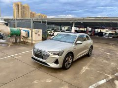 Audi e-tron 2021 50 quattro Premium - ფოტო 6