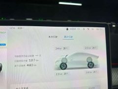 Arcfox Alpha S5 2024 560MAX 185kW - ფოტო 9