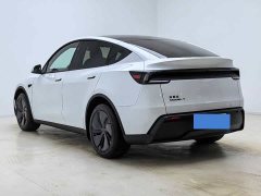 Tesla Model Y Rear-Wheel Drive - ფოტო 11