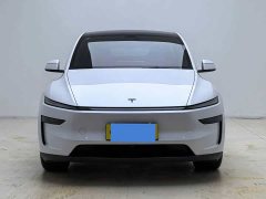 Tesla Model Y Rear-Wheel Drive - ფოტო 2