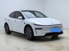 Tesla Model Y Rear-Wheel Drive - ფოტო 3