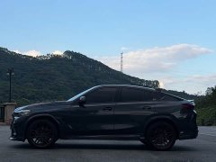 BMW X6 xDrive30i M Sport Package - ფოტო 4