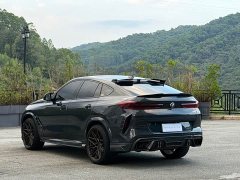BMW X6 xDrive30i M Sport Package - ფოტო 7