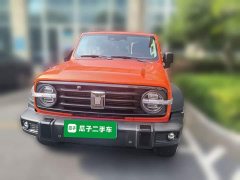 Tank 300 2021 Off-Road Edition 2.0T Conqueror - ფოტო 2