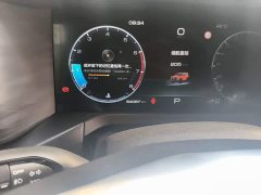 Tank 300 2021 Off-Road Edition 2.0T Conqueror - ფოტო 8