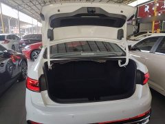 Volkswagen Sagitar 300TSI DSG Excellence Edition - ფოტო 14