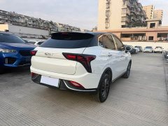 Neta V 2022 Trend 300 Lite Ternary Lithium - ფოტო 12