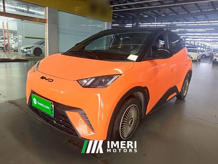 BYD Seagull Glory Edition 305km Vitality Version