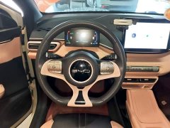 BYD Seagull Glory Edition 305km Vitality Version - ფოტო 6