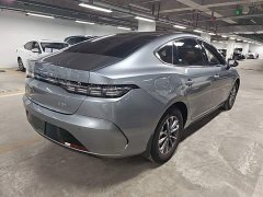 BYD Destroyer 05 Glory Edition DM-i 55KM Luxury - ფოტო 4