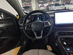 BYD Destroyer 05 Glory Edition DM-i 55KM Luxury - ფოტო 6