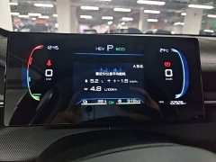 BYD Destroyer 05 Glory Edition DM-i 55KM Luxury - ფოტო 7