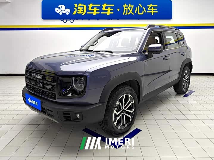 Great Wall Dachshund 1.5T DCT Border Collie Edition
