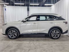 Haval Xiaolong MAX Hi4 165 Ultra Intelligent Driving Edition - photo 7