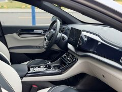BYD Qin PLUS 2021 EV 400KM Luxury - ფოტო 12