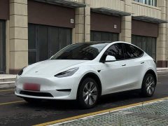 Tesla Model Y 2022 Facelift Rear-Wheel Drive - ფოტო 1
