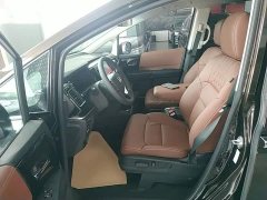 Honda Elysion 2019 2.0L Hybrid Elite Edition - ფოტო 10