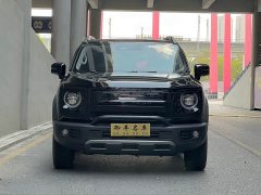 Great Wall Dachshund 2.0T DCT Chinese Rural Dog Edition - ფოტო 2