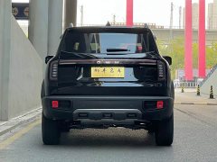 Great Wall Dachshund 2.0T DCT Chinese Rural Dog Edition - ფოტო 5