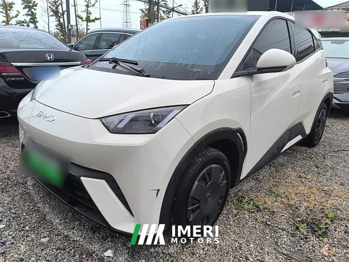 BYD Seagull 2025 305km Vitality Edition - ავტომობილი ჩინეთიდან
