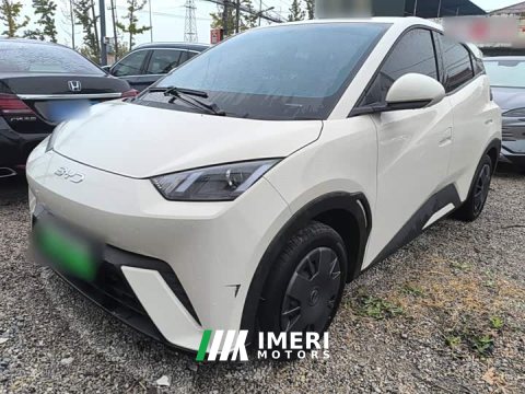 2024 BYD Seagull 2025 305km Vitality Edition - ავტომობილი ჩინეთიდან