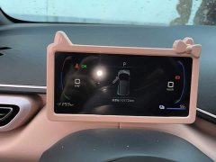 BYD Seagull 2025 305km Vitality Edition - ფოტო 11