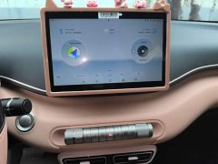 BYD Seagull 2025 305km Vitality Edition - ფოტო 12