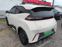 BYD Seagull 2025 305km Vitality Edition - ფოტო 4