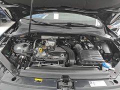 Volkswagen Tiguan L Outstanding Edition 300TSI Automatic FWD Dragon Ascendant Version - ფოტო 19